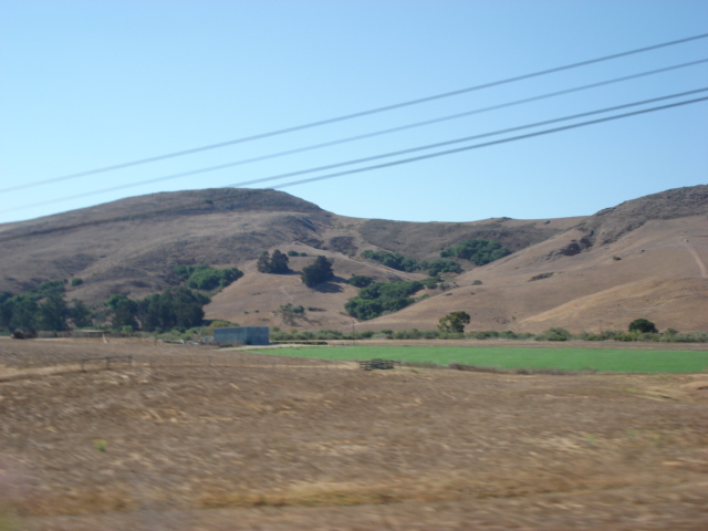 gal/2007 California/picture_183.jpg